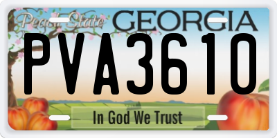 GA license plate PVA3610