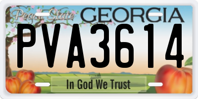 GA license plate PVA3614