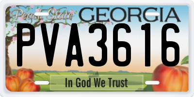 GA license plate PVA3616
