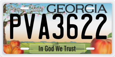 GA license plate PVA3622