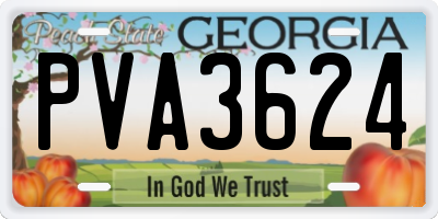 GA license plate PVA3624