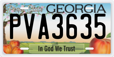GA license plate PVA3635