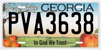 GA license plate PVA3638