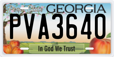 GA license plate PVA3640