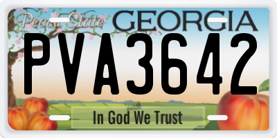 GA license plate PVA3642