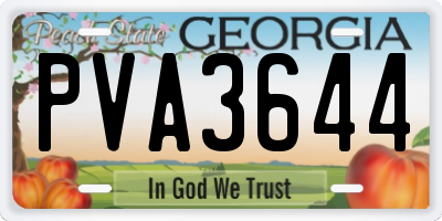 GA license plate PVA3644