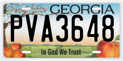 GA license plate PVA3648