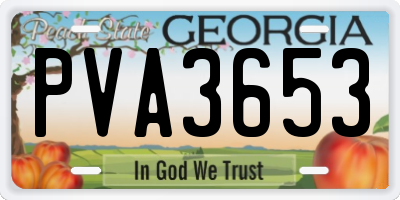 GA license plate PVA3653
