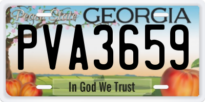 GA license plate PVA3659