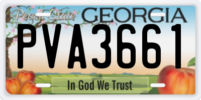 GA license plate PVA3661