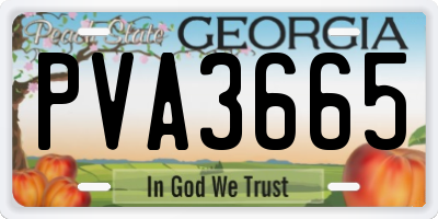 GA license plate PVA3665