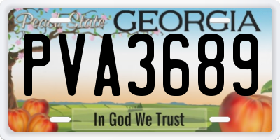 GA license plate PVA3689