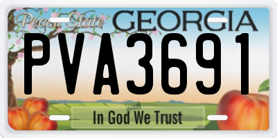 GA license plate PVA3691