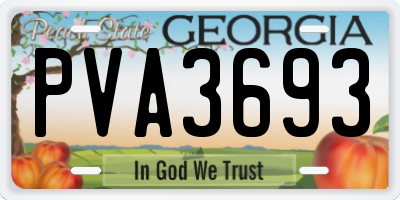 GA license plate PVA3693