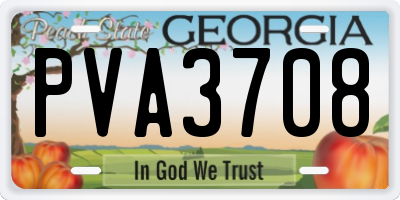 GA license plate PVA3708