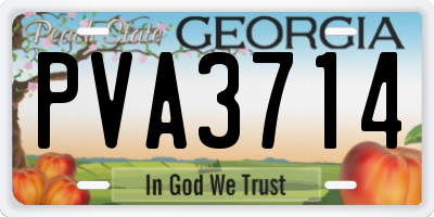 GA license plate PVA3714