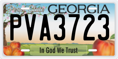 GA license plate PVA3723