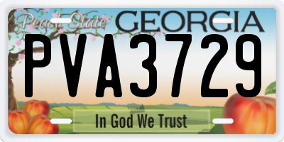 GA license plate PVA3729