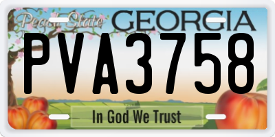 GA license plate PVA3758
