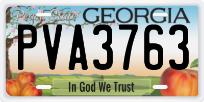 GA license plate PVA3763