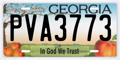GA license plate PVA3773