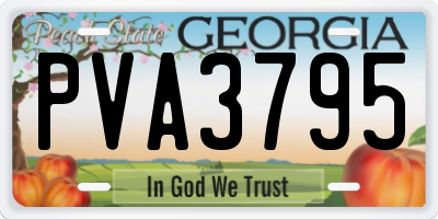 GA license plate PVA3795