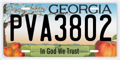 GA license plate PVA3802