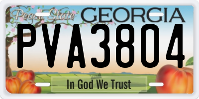 GA license plate PVA3804