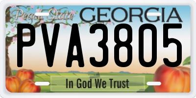 GA license plate PVA3805