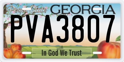 GA license plate PVA3807