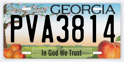 GA license plate PVA3814
