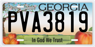 GA license plate PVA3819