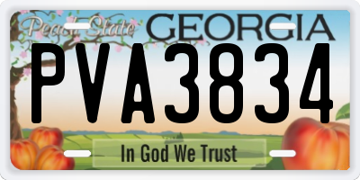 GA license plate PVA3834