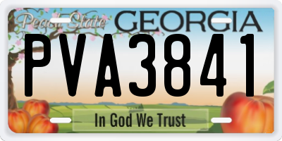 GA license plate PVA3841