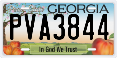 GA license plate PVA3844
