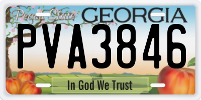 GA license plate PVA3846
