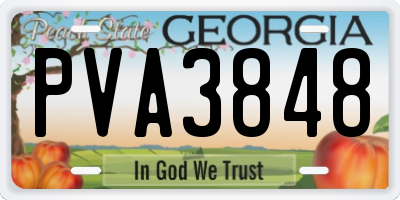 GA license plate PVA3848