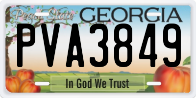 GA license plate PVA3849