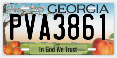 GA license plate PVA3861