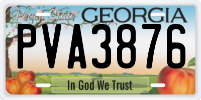 GA license plate PVA3876
