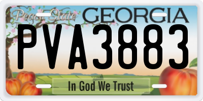 GA license plate PVA3883