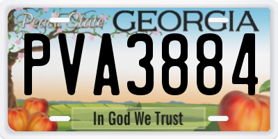 GA license plate PVA3884