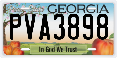 GA license plate PVA3898