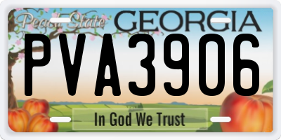 GA license plate PVA3906