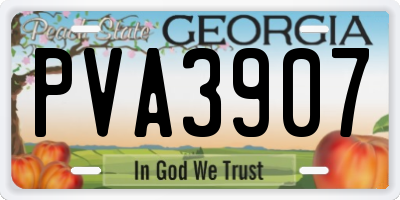 GA license plate PVA3907
