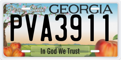 GA license plate PVA3911
