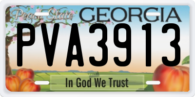 GA license plate PVA3913