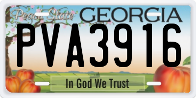 GA license plate PVA3916