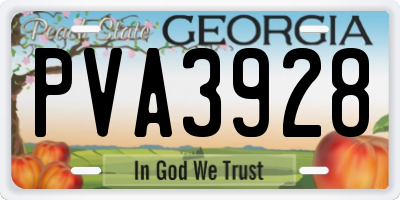 GA license plate PVA3928