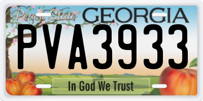 GA license plate PVA3933